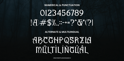 Dark Charis Font Poster 9
