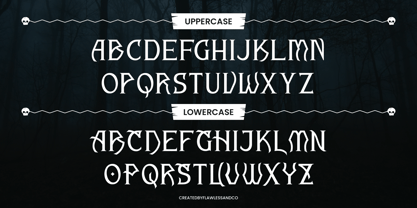 Dark Charis Font Poster 8