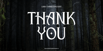 Dark Charis Font Poster 10
