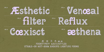 FN Quimsy Font Poster 5
