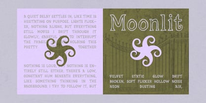 FN Quimsy Font Poster 8