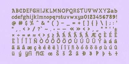 FN Quimsy Font Poster 11