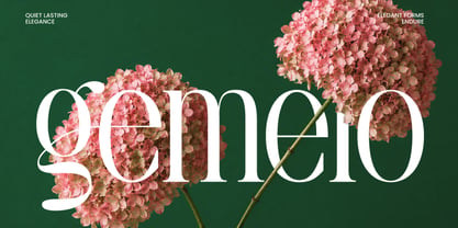 La Carena Font Poster 6