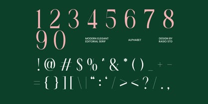 La Carena Font Poster 3