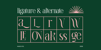 La Carena Font Poster 4