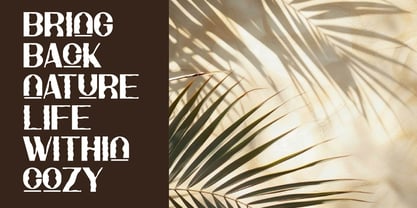 Tolah Font Poster 3