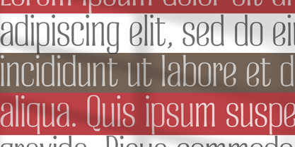 Charlesito Font Poster 5