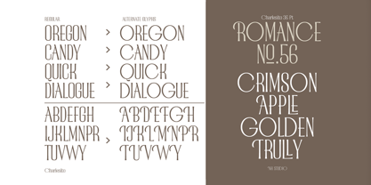 Charlesito Font Poster 6