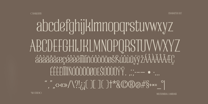 Charlesito Font Poster 3