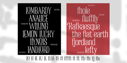 Charlesito Font Poster 7