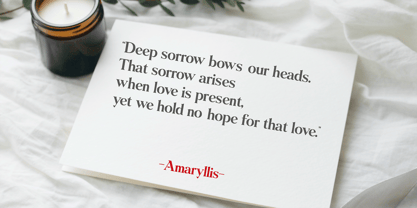 Amaryllis Font Poster 4