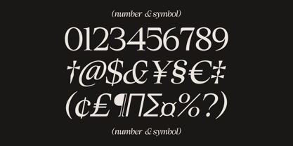 Cheroly Font Poster 14