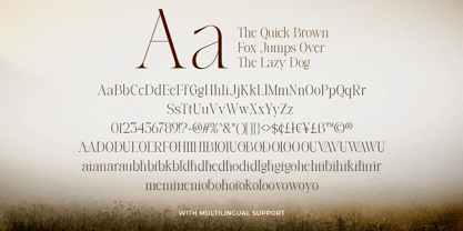 Lamire Modern Font Poster 10