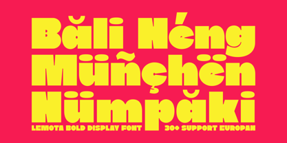 Lemota Font Poster 14