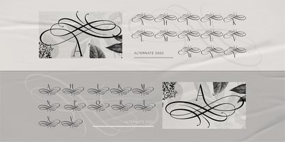 Gondhe Font Poster 6
