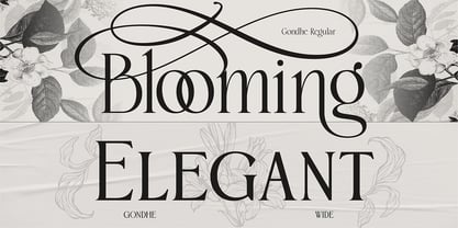Gondhe Font Poster 4