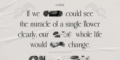 Gondhe Font Poster 11