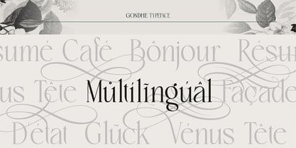 Gondhe Font Poster 10