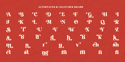 Bolstia Font Poster 8