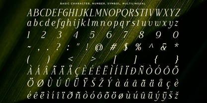Moelania Font Poster 10