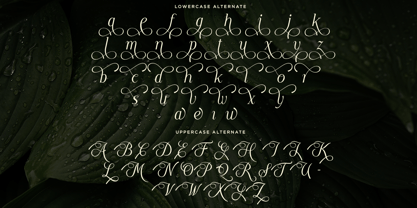 Moelania Font Poster 9