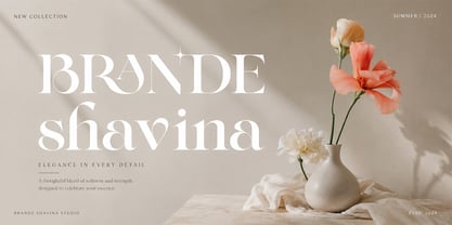 Glamour Authentic Font Poster 5