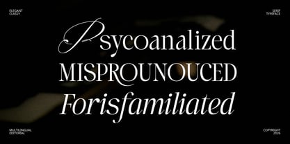 Laught Alize Font Poster 5