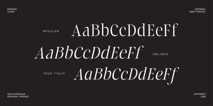 Laught Alize Font Poster 10