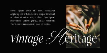 Laught Alize Font Poster 2