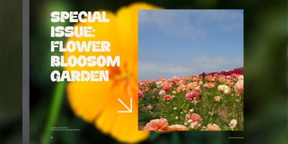 Daffiys Font Poster 11