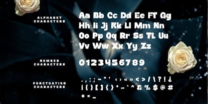 Daffiys Font Poster 2