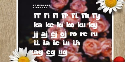 Daffiys Font Poster 4