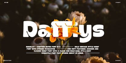 Daffiys Font Poster 1