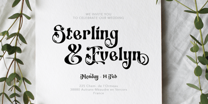 Switella Font Poster 6