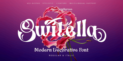 Switella Font Poster 1
