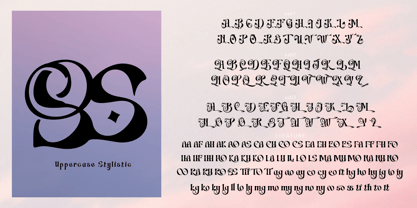 Switella Font Poster 9