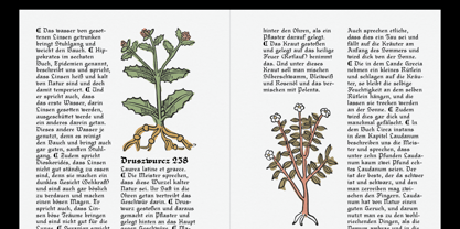 Young Fraktur Font Poster 5