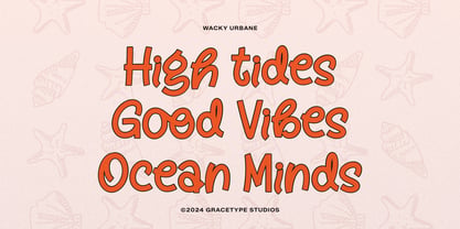 Wacky Urbane Font Poster 3