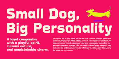 Aakar Font Poster 7
