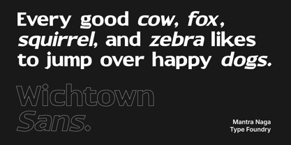 MN Wichtown Sans Font Poster 3
