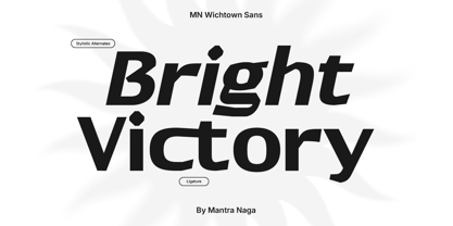 MN Wichtown Sans Font Poster 8