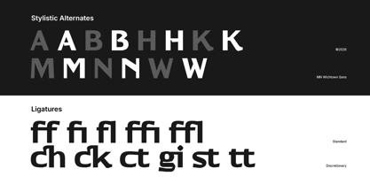 MN Wichtown Sans Font Poster 7