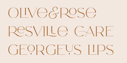 CCS Neue Royale Font Poster 6
