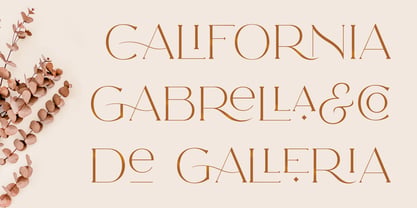 CCS Neue Royale Font Poster 4