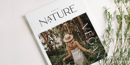 CCS Neue Royale Font Poster 13