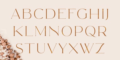 CCS Neue Royale Font Poster 15