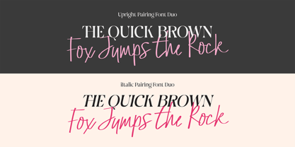 Outside Field Serif Font Poster 13