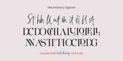 Outside Field Serif Font Poster 11