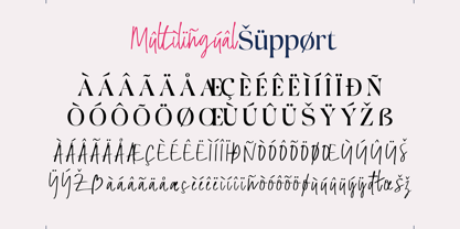 Outside Field Serif Font Poster 14