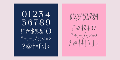 Outside Field Serif Font Poster 15